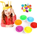 Brinquedo Montessori Caixa de Ovos