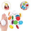 Brinquedo Montessori Caixa de Ovos